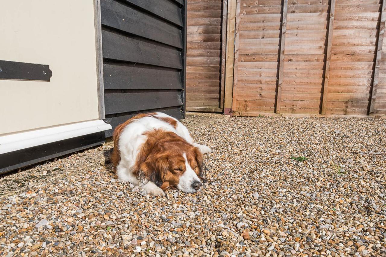 Abigail'S Cottage, Wickham Market Woodbridge Esterno foto